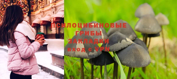 дживик Алексеевка